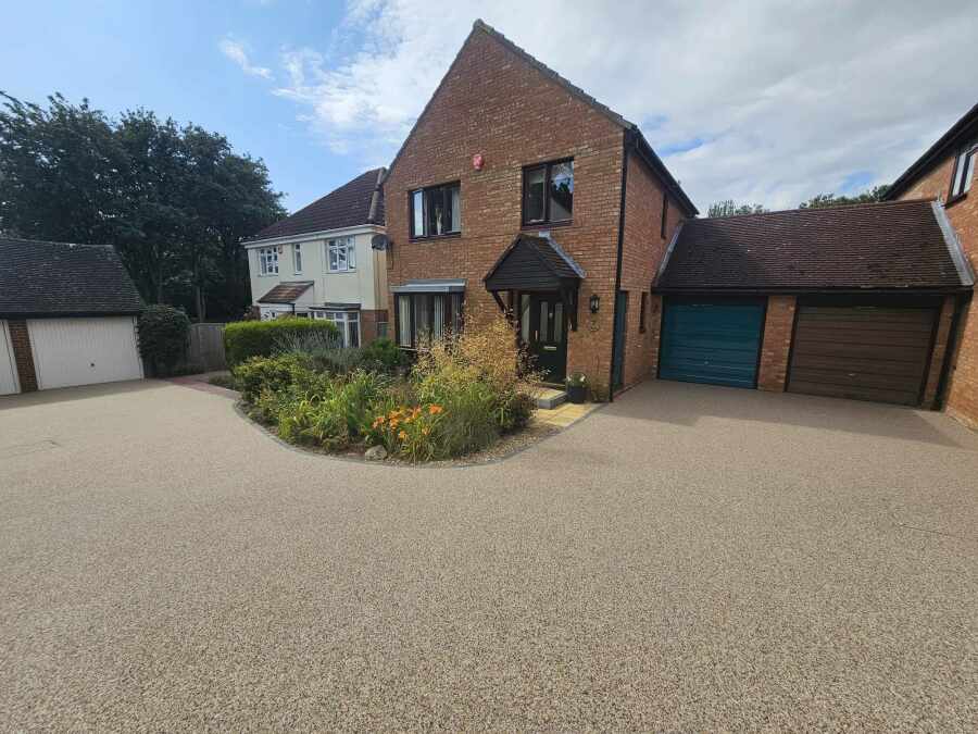 Rhino Surfaces Image