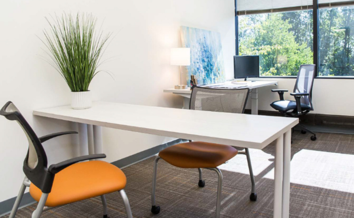 Office Evolution Franchise