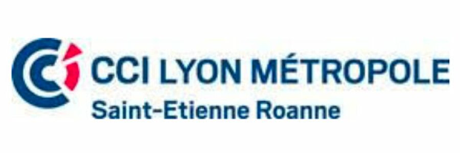 logo CCI Lyon métropole