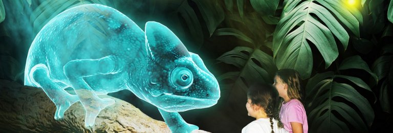 Hologram Zoo AS