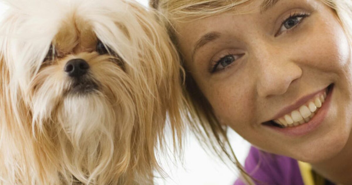 Pet Grooming Franchise Opportunities for Sale