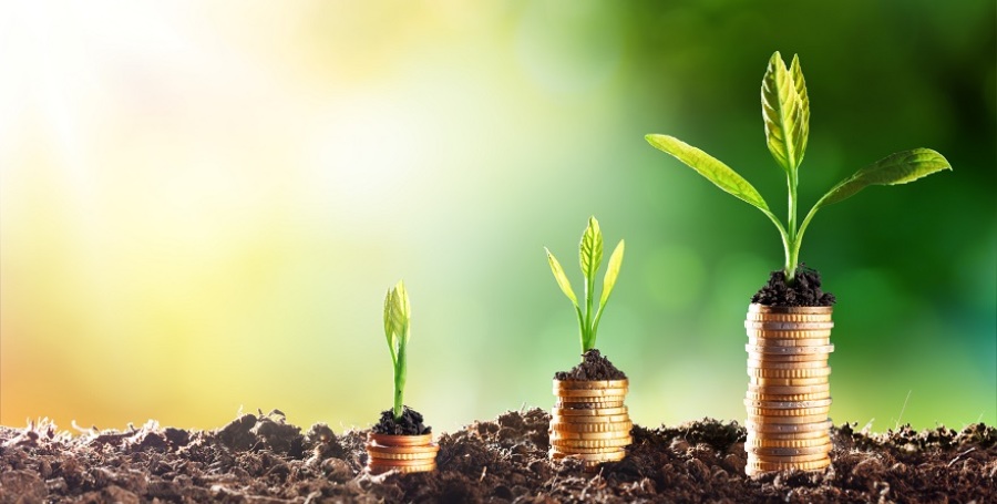 50 of the Fastest Growing U.S. Franchise Brands