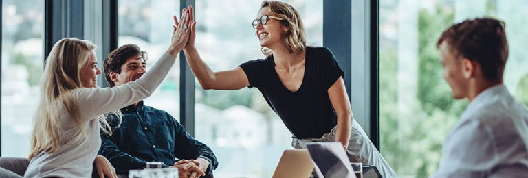 Tracy & Vision Franchise Banner