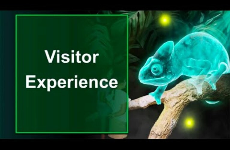 Hologram Zoo, un concept venu d'Asie