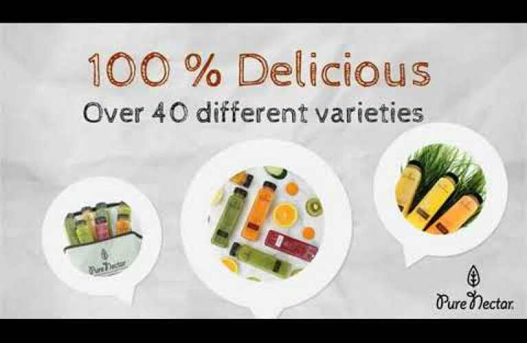 Pure Nectar Juice | Franchise Model