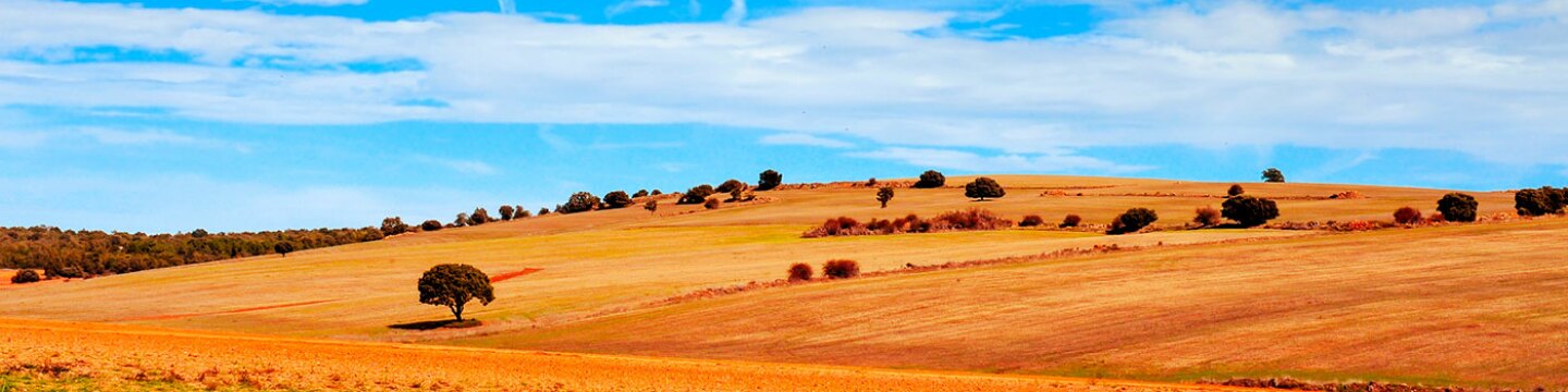 Soria provincia header image