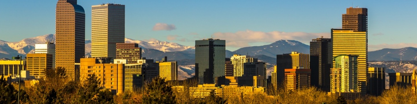 Denver Skyline Banner