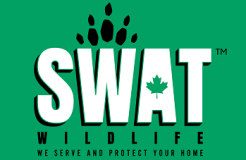 Swat Wildlife logo