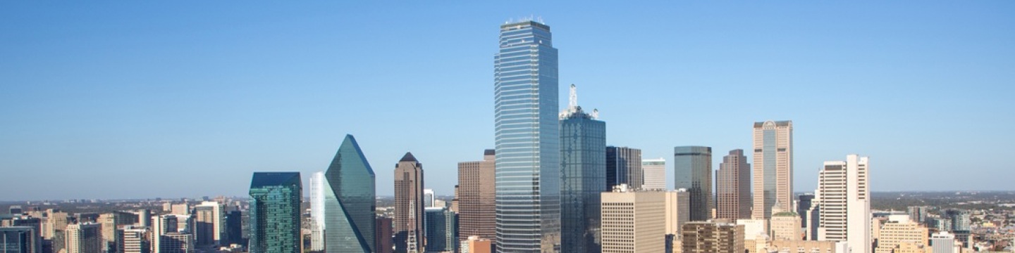 Dallas Texas Skyline Banner