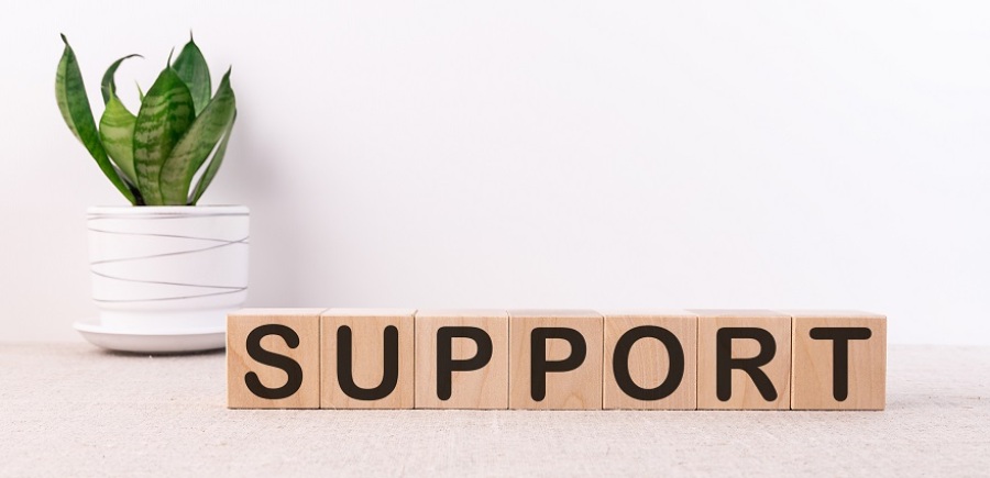 Wood blocks spelling out the word "SUPPORT". There is a green plant in a white pot to the left.