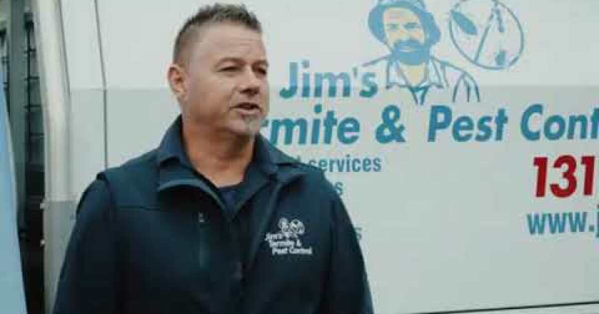 Jim's Termite & Pest Control The Best Franchise Opportunities