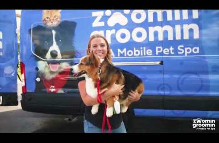 Why Zoomin Groomin?