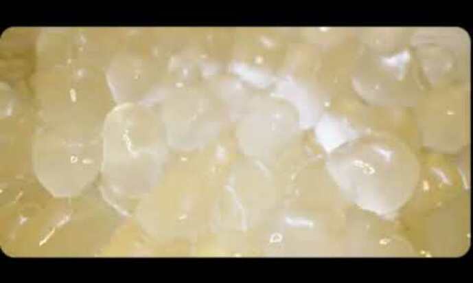 Presotea 15th Anniversary Video - Brown Sugar Panda Milk Tea