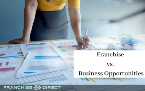Franchises vs. Business Opportunities
