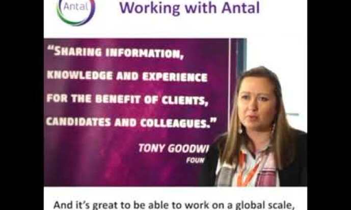 What's It Like To Work With Antal
