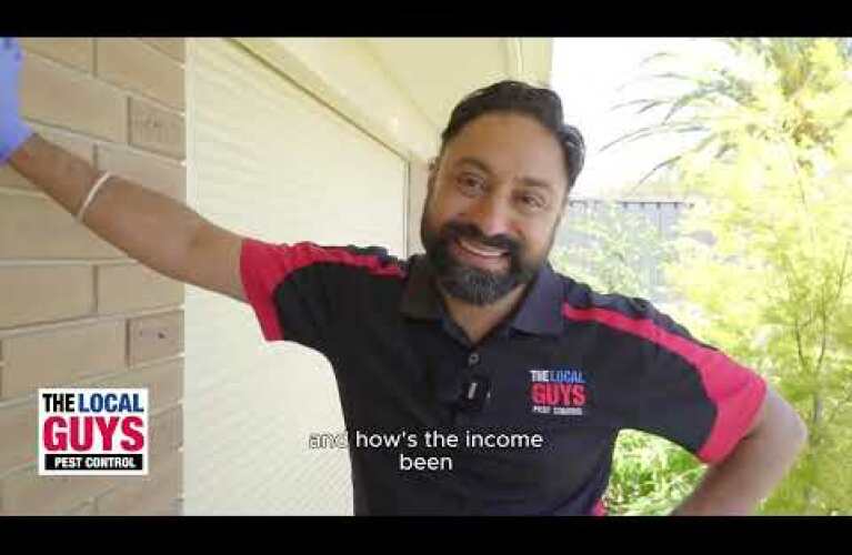 The Local Guys Pest Control | Tea Tree Gully Territory