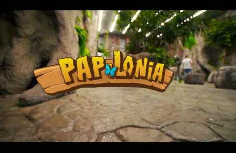 What Makes Papilonia's Butterfly House Special