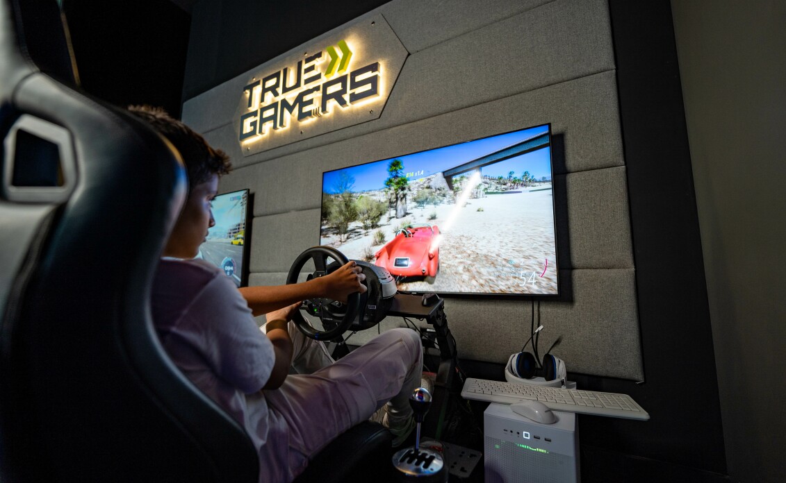True Gamers