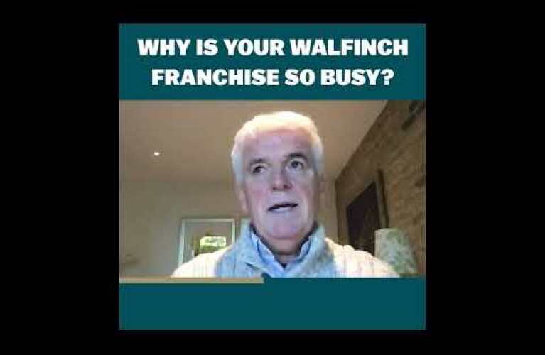 Walfinch Franchise Testimonial | Greg Renk