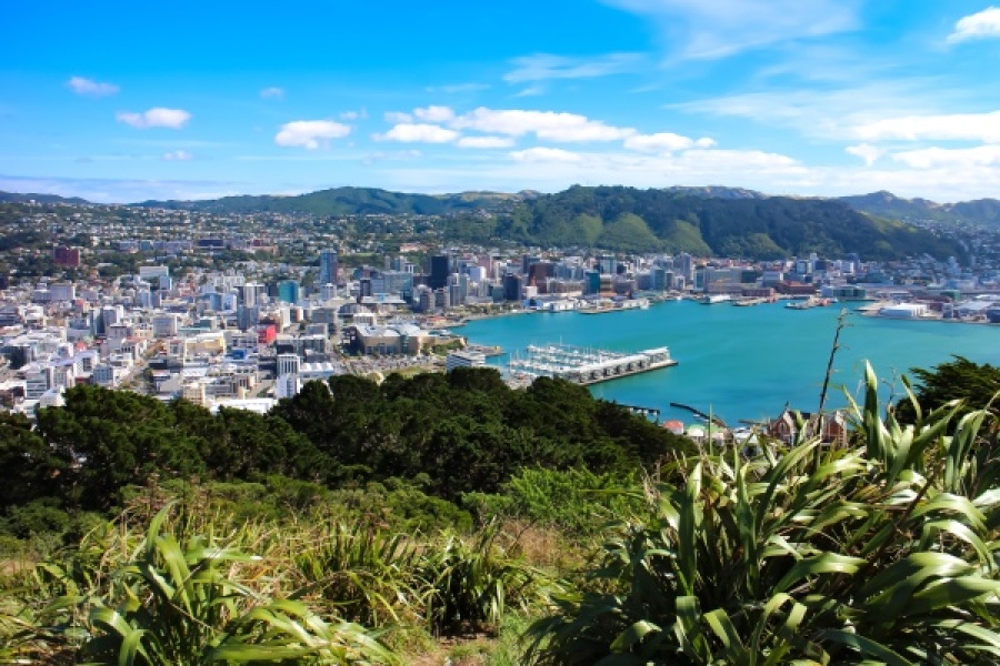 Franchising in New Zealand