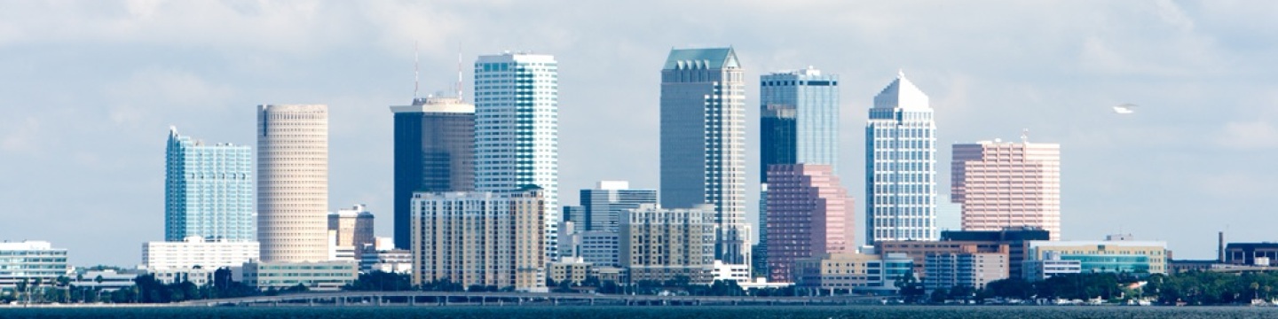 Tampa Bay View Skyline Banner