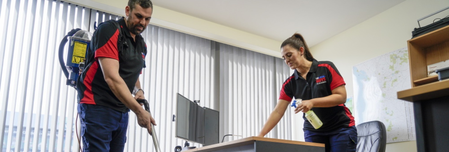 The Local Guys Cleaning Franchise For Sale Franchise Direct