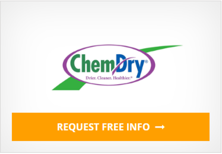 Chem Dry - Request Info