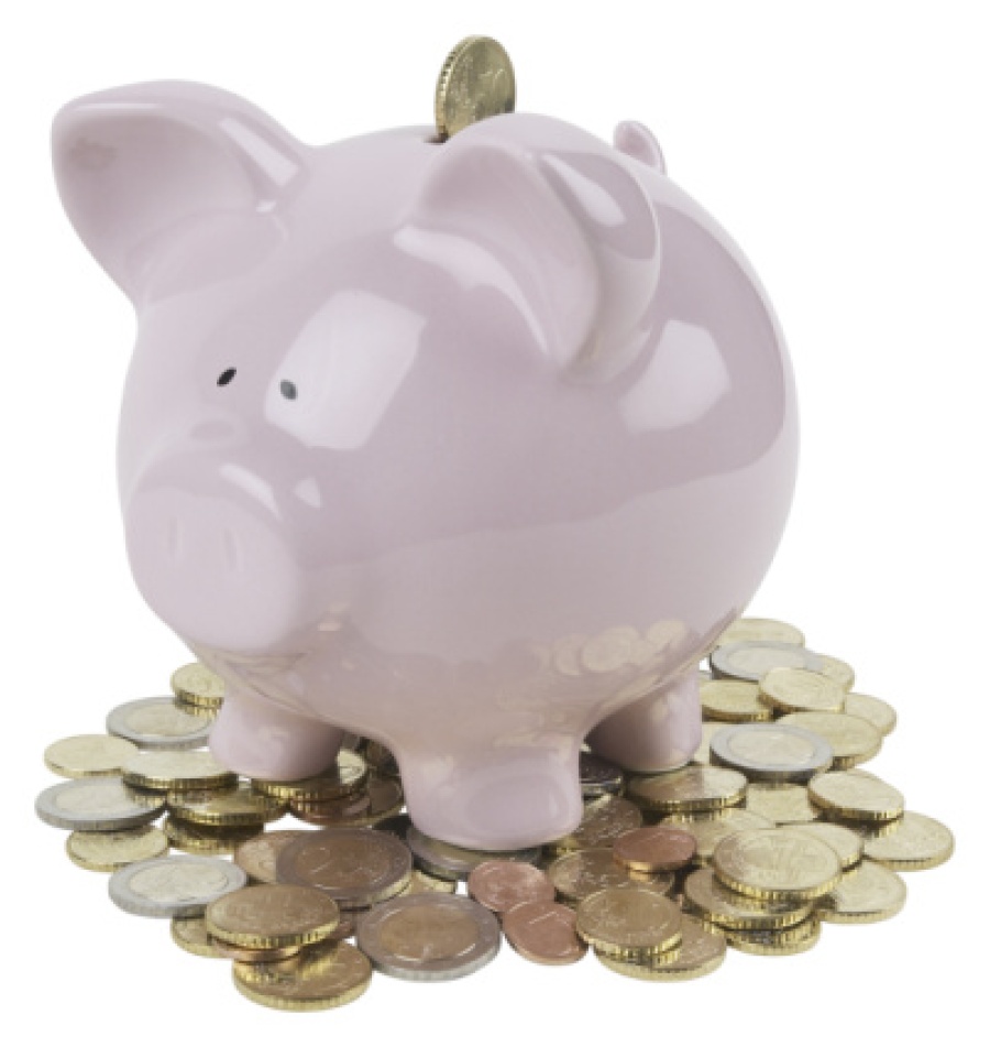 Piggy Bank with Coins Surrounding