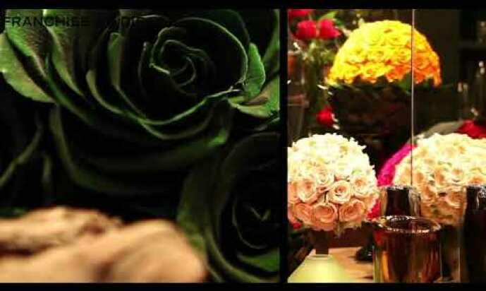 Only Roses Franchise Video