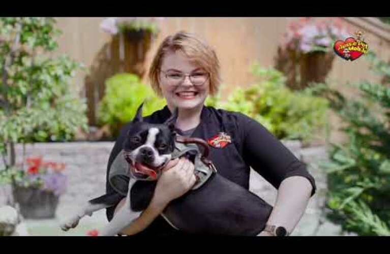 Aussie Pet Mobile Franchisee Testimonials