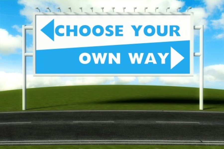 Choose Your Own Way Sign