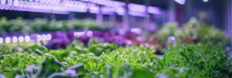 GrowSpec Header Image