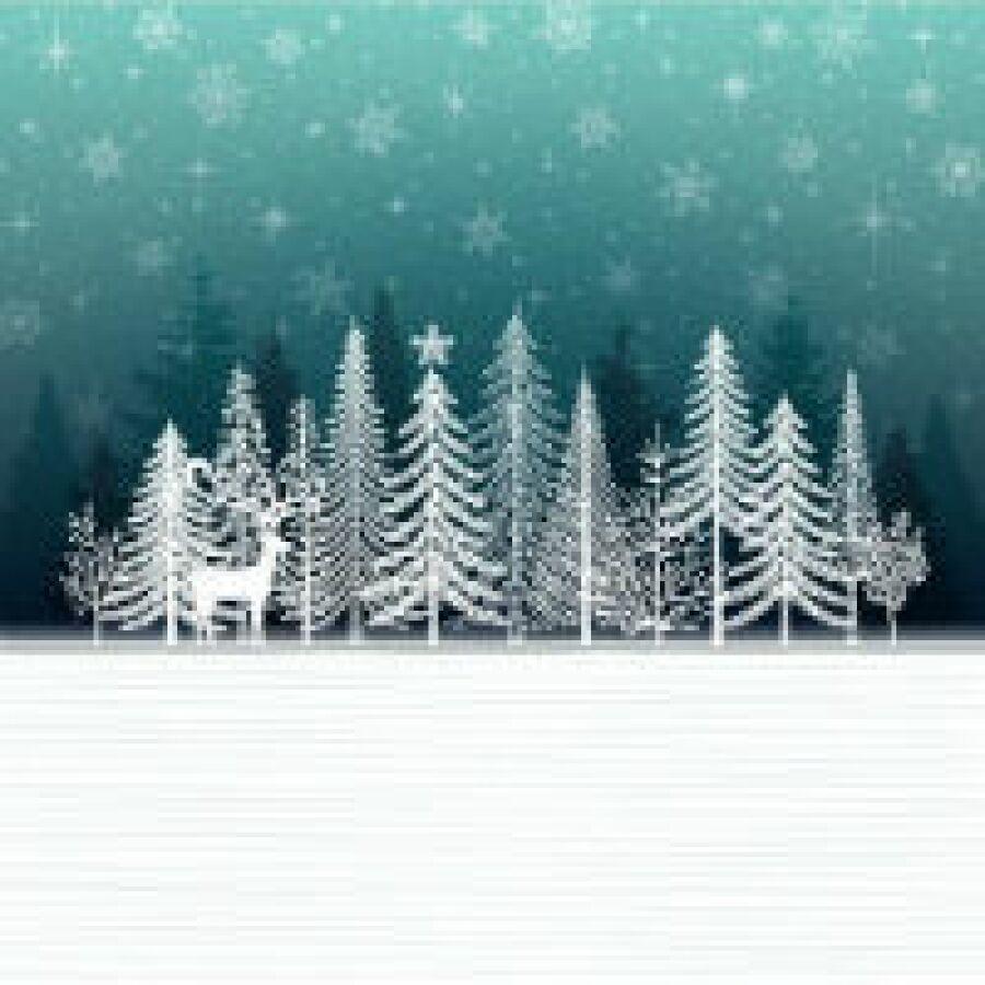 Franchise Direct looks at spending trends this Christmas