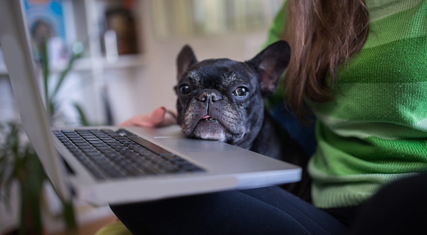 The Top Five Advantages of Working from Home