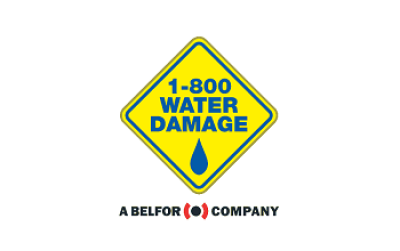 1-800 WATER DAMAGE Franchise Logo